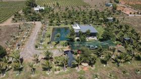 Trang trại 25ha trên đất có thanh long đang khai thác, mặt đường Hòn Dồ gần Nova giá tốt đầu tư