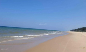 Bán 6000 m2 đất mặt tiền Lạc Long Quân và mặt tiền biển, đất vuông vức nở hậu, thổ cư nhiều