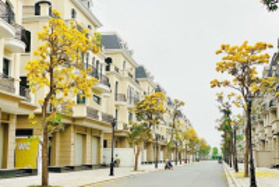 Quỹ hàng chuyển nhượng giá tốt Vinhomes Ocean Park 2, cập nhật tháng 1. Liên hệ 0934 561 191