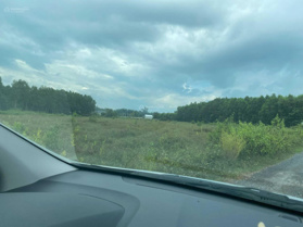 Cho thuê 4500m2 đất mặt tiền Long Đức - Lộc An, đối diện ttvh xã, 45m mặt tiền đường. Lh 0966 167 676