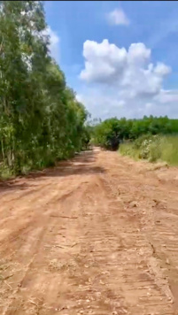 Cần bán lô đất 21 mẫu tại Sông Phan, Hàm Tân, Bình Thuận giá 750 triệu/mẫu xe hơi tận đất