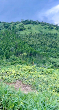 Bán lô đất 16 mẫu thuộc Tân Hà, Hàm Tân, Bình Thuận giá siêu rẻ 300 triệu/mẫu