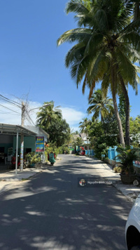 Bán 2000m2 đất có vườn dừa đẹp mặt tiền đường Bàu Me, Thiện Nghiệp giáp Sungroup