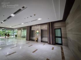 Bán sàn văn phòng 1500m2 tại Cầu Giấy 33 triệu/m2, đã có sổ, LH: 0974 877 205