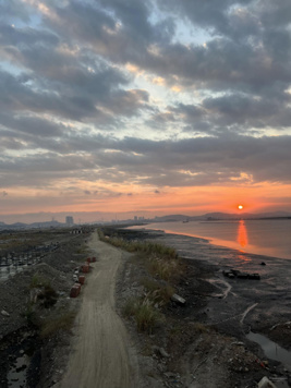 Bán nhanh Shophouse trục 31 view vườn hoa giá 25tr/m2 (đất) LH: 0936 585 689