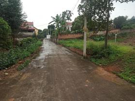 Bán đất cắt lỗ sâu (Rẻ hơn 150 triệu) chỉ: 550 triệu - tại Thôn Bưởi, Đan Hội, 178.6 m2, T1/2025