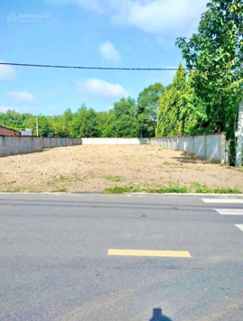 Kd thua lỗ bán gấp trước tết 250m2 đất thổ cư, sổ riêng ngay KCN. Giá TL