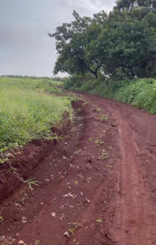 Bán 32.800m2 đất xã Long Bình, huyện Phú Riềng