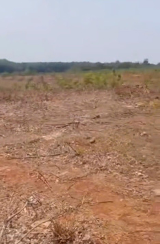 Bán 14.000 m2 đất Long Bình - Phú Riềng - Bình Phước mặt tiền bê tông