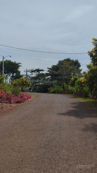 Ngang 5 dài 60 100m thổ cư đường bê tông oto ra vào thoải mái giá chưa tới 1tr 1m2