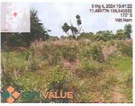 Bán ĐGTS đất tại TĐ số: 236, xã Tân Hưng, huyện Đồng Phú, tỉnh Bình Phước