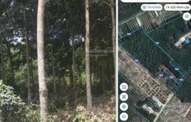 Gần 1 ha đất kế KCN Minh Hưng có 24m mặt tiền