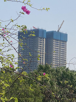 Bán căn 3 phòng ngủ, rộng 84,6m2, ban công Đông Nam, tại chung cư The Fibonan