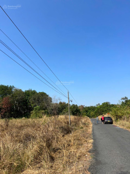 Bán gấp trả nợ đất MT nhựa gần Trường Tiểu Học Lộc Thịnh, cổng chào Huyện Lộc NInh, Bình Phước