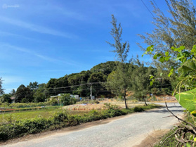 Đất 2 mặt tiền đường đi khu du lịch Mũi Nai cách biển 200m chỉ 7,5 triệu/ m2 LH 0834 871 433