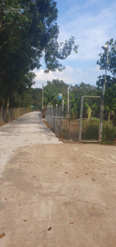 Bán 2000m2 đất cây lâu năm Tp Long khánh Đồng Nai giá 850tr/ sào LH 0937 147 501