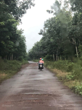 Cần bán 1 sào đất ấp Mười Mẫu, xã Phước Thiện, Huyện Bù Đốp