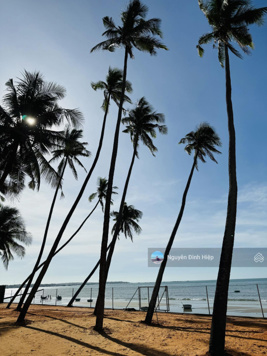 Chính chủ bán 3642m2 đất mặt tiền biển Huỳnh Thúc Kháng, Hàm Tiến