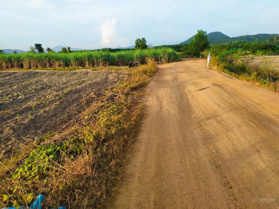 Bán 4 sào đất chính chủ Hàm Tân, Bình Thuận, lô góc 2 mặt, đường 5 mét có quy hoạch nhựa giá 1,2 tỷ