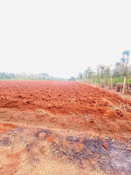 Chính chủ cần bán gần 3,5 hec đất đỏ Lộc Điền, siêu đẹp