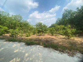 Bán 6,4 sào đất thị trấn chỉ 1,9 tỷ có 100m2 TC nhà cấp 4 sẵn