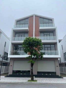 Cặp song lập biệt thự - Đối diện cổng vào công viên nước Vịnh biển Bốn Mùa Ocean Park 3