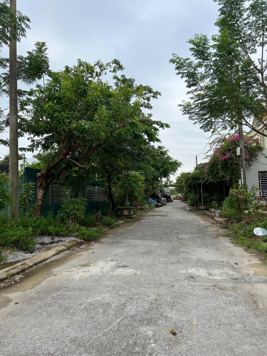 Cần bán lô đất khu TT Môi Quảng Tâm, Thanh Hoá, ngay gần xưởng gỗ