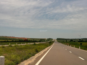 Tổng hợp đất hecta Tiến Thành, vị trí đẹp view biển, gần Novaworld, phù hợp làm farmstay giá tốt