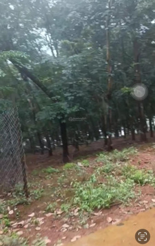 Kẹt ngân hàng bán gấp lô đất ở đường bê tông, xã Long Hưng, huyện Phú Riềng, tỉnh Bình Phước