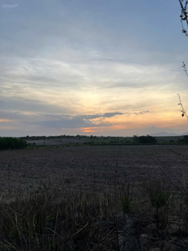 Bán lô đất 2380m2 đường xe hơi tới đất gần Nguyễn Minh Châu, Tân Tiến, Lagi giá 650 triệu