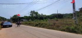 Bán đất 5619 m2 tại An Thới, Phú Quốc, giá ưu đãi 7 triệu / m2