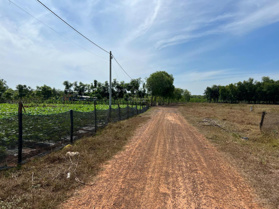 Bán nhanh vườn cao su vị trí đẹp xã Lộc Thành - Lộc Ninh, Bình Phước