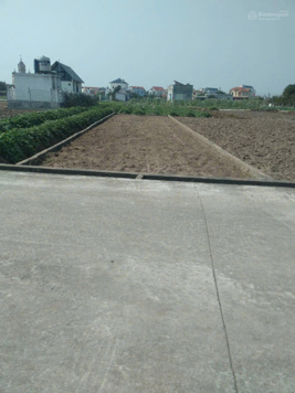 Chính chủ tôi cần tiền bán gấp lô đất biển Thịnh Long giá chỉ hơn 990tr/lô sẵn sổ đỏ