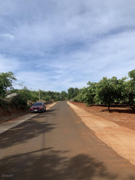 Chính chủ bán đất mặt tiền đường nhựa Tân Phước. Lô đất 5x40m có 100m2 thổ cư. Gần chợ trường học