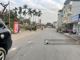 Bán đất tại Đông Dư, Gia Lâm, Hà Nội, 42m2 đường rộng 8m, vỉa hè 2m