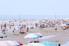 Bán Đất Biển Bãi Tắm Thịnh Long, Khu Kinh Tế Biển Ninh Cơ, Hải Hậu , Nam Định 990 Triệu