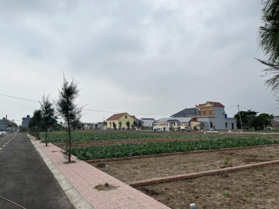 Bán gấp 90m2 đất biển Quất Lâm, mặt đường lớn hướng biển chỉ 11tr.