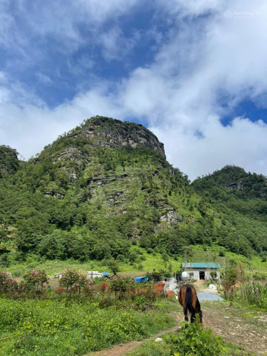 Bán đất và nhà kinh doanh Homestay. DT 3000m2 đang quy hoạch đón khách du lịch.
