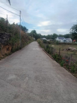 Bán đất xã Dương Tơ, Phú Quốc sổ riêng, sẵn thổ cư đường bê tông lớn