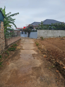 Bán Lô Đất Xã Thái Đào, Lạng Giang, Bắc Giang. 999m2- Mt 5,2m. Giá 460tr