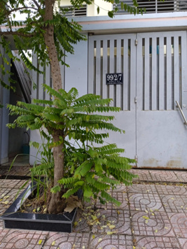 Bán nhà riêng chính chủ tại Hiệp Bình Chánh, Thủ Đức, TP HCM 120m2 giá: 16,2 tỷ