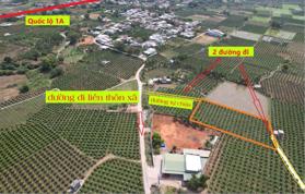 2 mặt tiền 859 tr với 1875m2 Chợ Hợp 5, Hàm Đức, 800m cách QL 1A, giá rẻ nhất