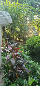 Biệt thự Ecopark giá tốt nhất thị trường và các dòng liền kề, shophouse đáng đầu tư