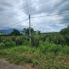 Bán 02 thửa 5208 m2 đất trống thôn Dân Thuận, xã Hàm Thạnh, huyện Hàm Thuận Nam, Bình Thuận