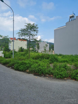 Bán đất KĐT Lạc Phú 1 - Yên Dũng, Bắc Giang. 82m2, MT 5m. Đường 16m. Giá 1.6tỷ