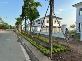 Đất biệt thự DIC đảo Đại Phước (giáp Swanbay Oasia): đường 30m diện tích 435 m2