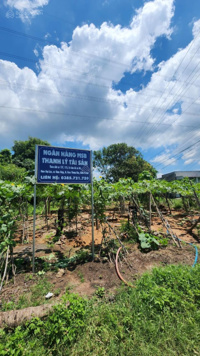 Bán lô đất 400m2 có 300m2 thổ cư tại Hàm Hiệp, Hàm Thuận Bắc, Bình Thuận