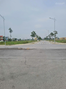 Bán đất KĐT Residence Thái Đào, Lạng Giang, Bắc Giang 114m2, MT 6m. Giá 2.8 tỷ