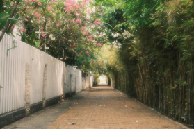 Chính chủ cho thuê nhà sân vườn, sát sông, khu dân trí, an ninh ở đường Bình Quới Quận Bình Thạnh