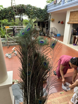 Cho thuê nhà mặt phố đang làm Tâm Đồ Lễ, phù hợp làm cửa hàng kinh doanh, địa điểm công ty